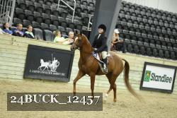24BUCK_12457 thumbnail