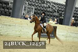 24BUCK_12458 thumbnail