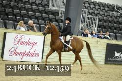 24BUCK_12459 thumbnail