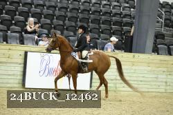 24BUCK_12462 thumbnail