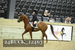 24BUCK_12463 thumbnail