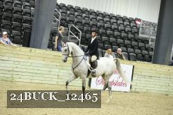24BUCK_12465 thumbnail