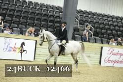 24BUCK_12466 thumbnail
