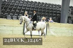 24BUCK_12467 thumbnail