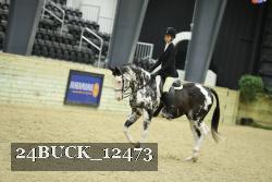 24BUCK_12473 thumbnail