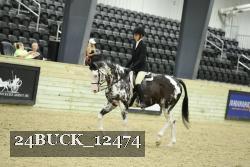 24BUCK_12474 thumbnail