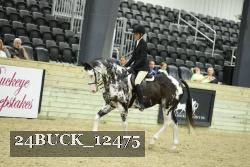 24BUCK_12475 thumbnail