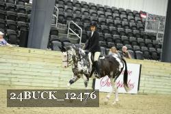 24BUCK_12476 thumbnail