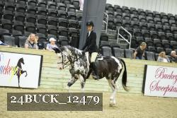 24BUCK_12479 thumbnail