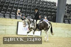 24BUCK_12480 thumbnail