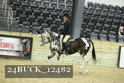 24BUCK_12482 thumbnail