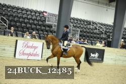 24BUCK_12485 thumbnail