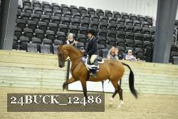 24BUCK_12486 thumbnail