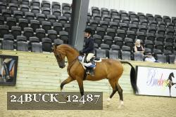 24BUCK_12487 thumbnail