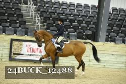24BUCK_12488 thumbnail