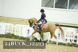 24BUCK_12493 thumbnail