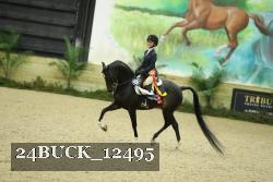 24BUCK_12495 thumbnail