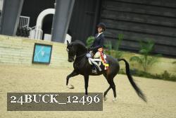 24BUCK_12496 thumbnail