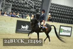 24BUCK_12499 thumbnail