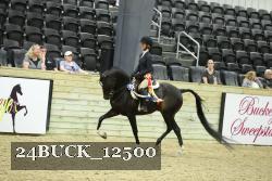 24BUCK_12500 thumbnail