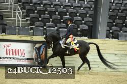 24BUCK_12503 thumbnail