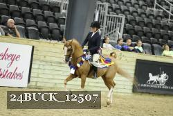 24BUCK_12507 thumbnail