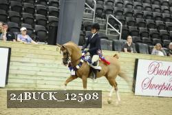 24BUCK_12508 thumbnail