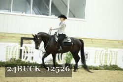 24BUCK_12526 thumbnail