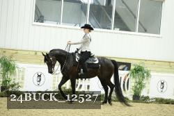 24BUCK_12527 thumbnail