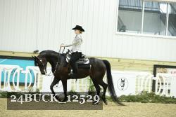 24BUCK_12529 thumbnail