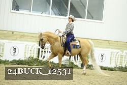 24BUCK_12531 thumbnail