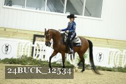 24BUCK_12534 thumbnail