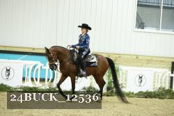 24BUCK_12536 thumbnail