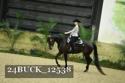 24BUCK_12538 thumbnail