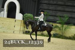 24BUCK_12539 thumbnail