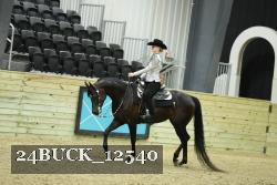 24BUCK_12540 thumbnail