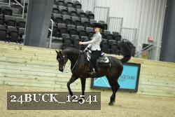 24BUCK_12541 thumbnail