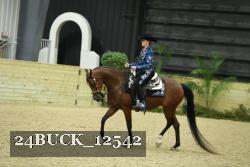 24BUCK_12542 thumbnail