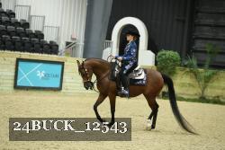 24BUCK_12543 thumbnail