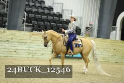 24BUCK_12546 thumbnail