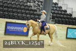 24BUCK_12547 thumbnail