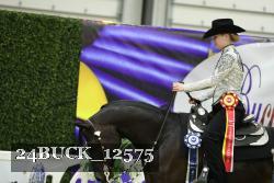 24BUCK_12575 thumbnail