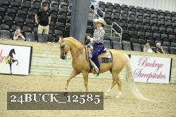 24BUCK_12585 thumbnail