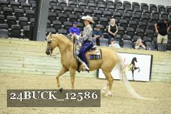 24BUCK_12586 thumbnail