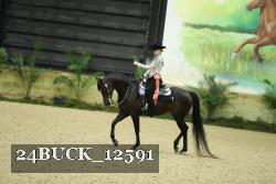 24BUCK_12591 thumbnail