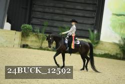 24BUCK_12592 thumbnail