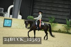 24BUCK_12593 thumbnail