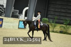 24BUCK_12594 thumbnail