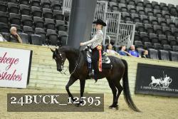 24BUCK_12595 thumbnail