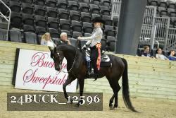 24BUCK_12596 thumbnail